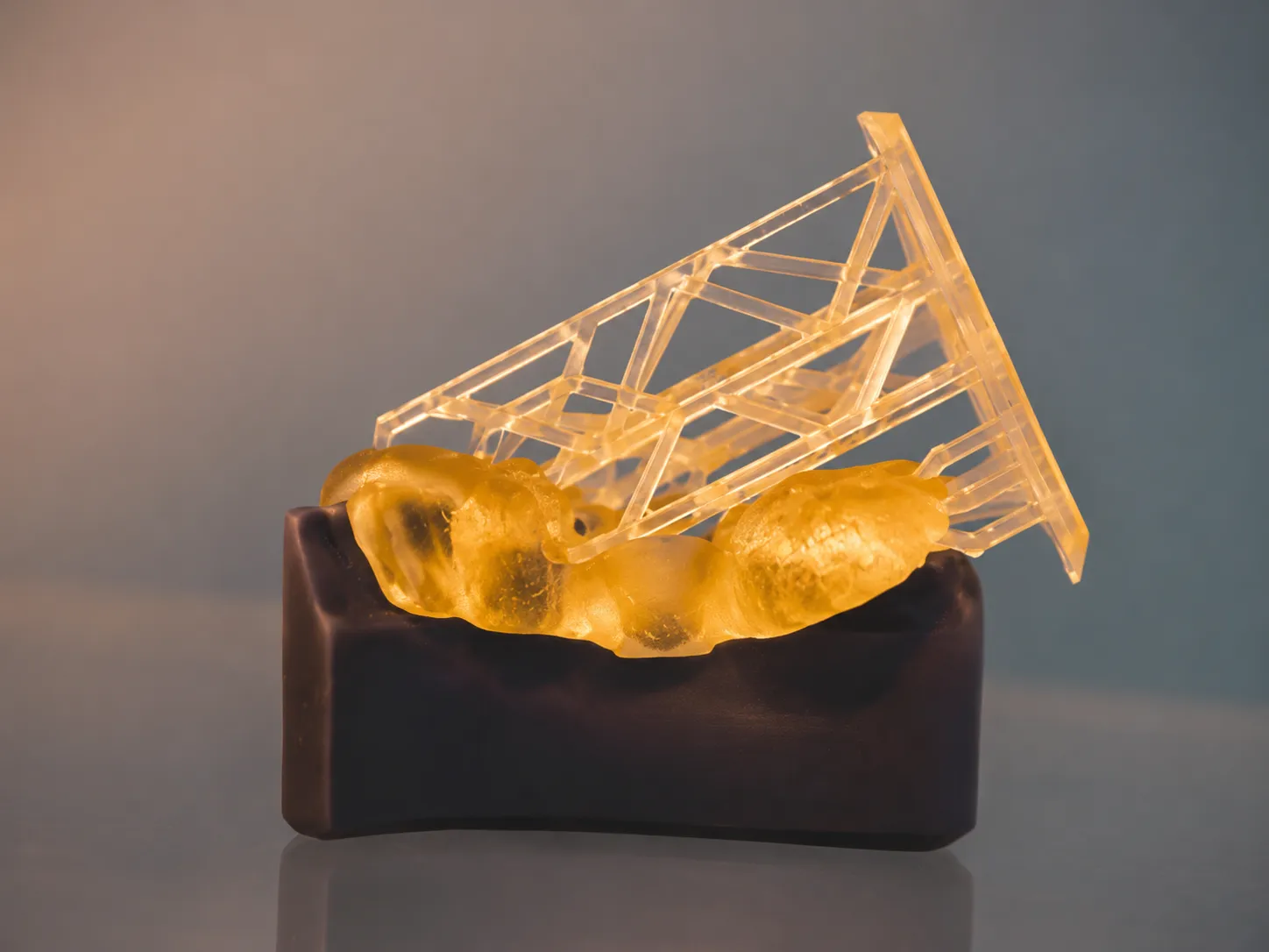 SLA clear optical housing